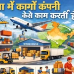 Air cargo is faster but expensive, while surface cargo is slower yet cost-effective for bulk shipments.